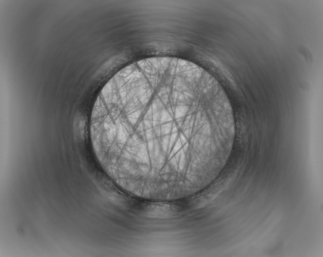 X0000111000123200907171821