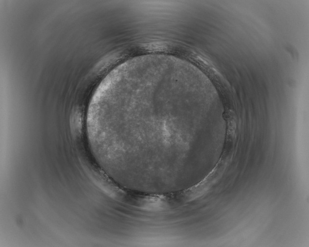 X0000111000124200907171821