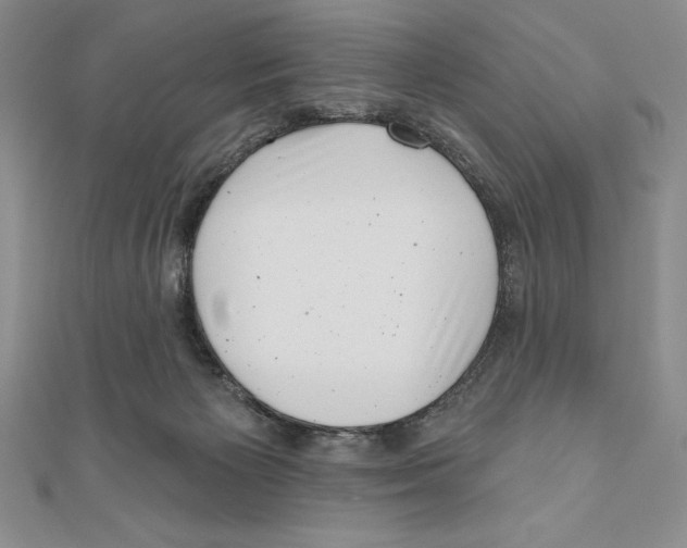 X0000111000125200907171821