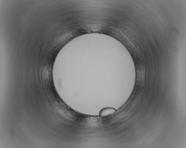 X0000111000126200907171821