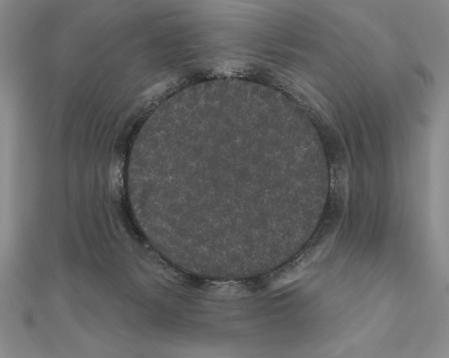 X0000111000127200907171821