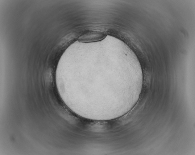 X0000111000128200907171821