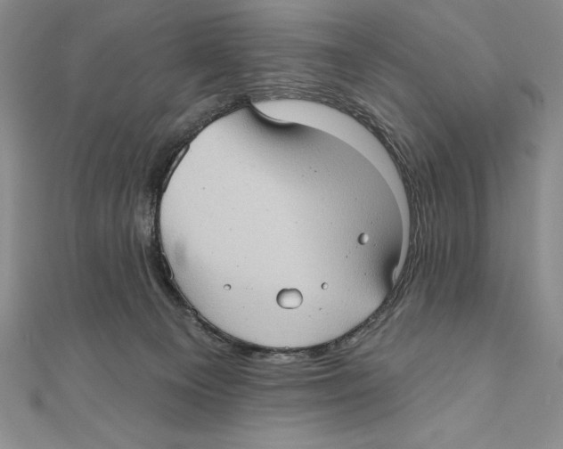 X0000111000129200907171821