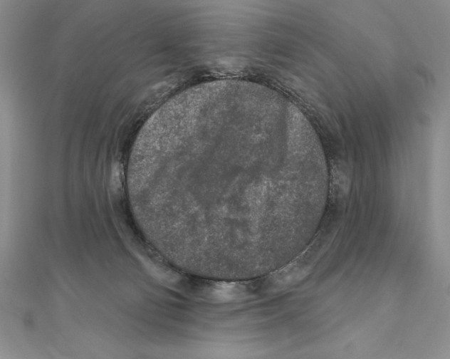 X0000111000130200907171821