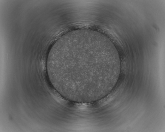 X0000111000131200907171821