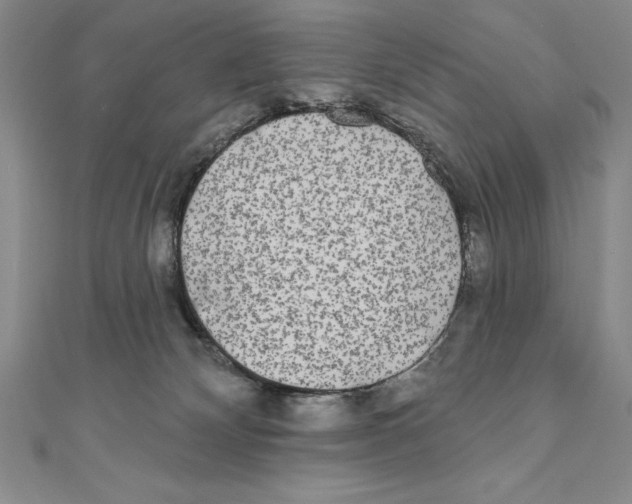 X0000111000132200907171821