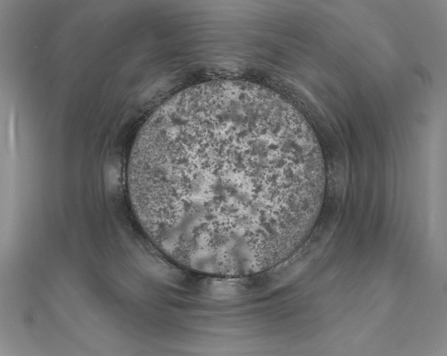 X0000111000134200907171821