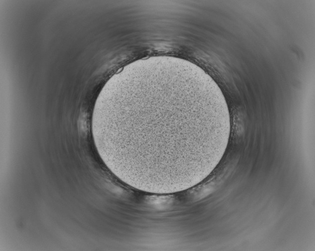 X0000111000135200907171821