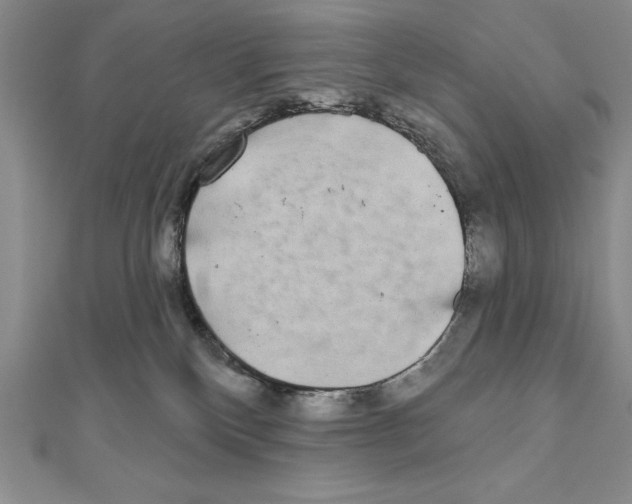 X0000111000136200907171821