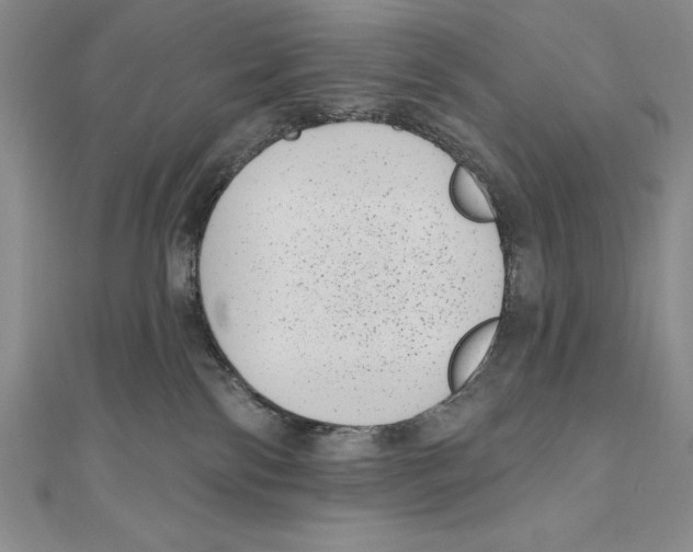 X0000111000138200907171821