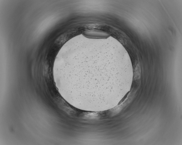 X0000111000140200907171821