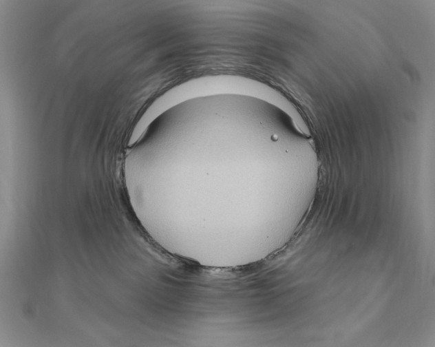 X0000111000141200907171821