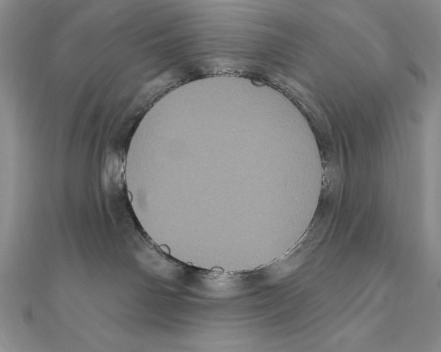 X0000111000142200907171821