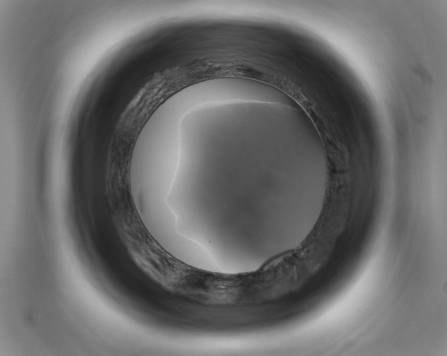 X0000111000143200907171821