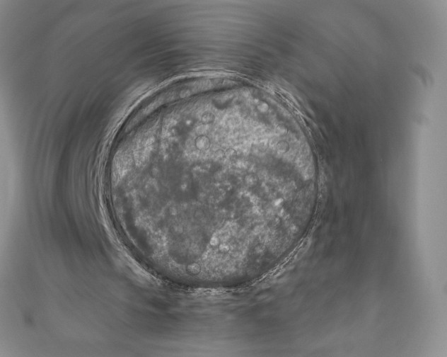 X0000111000145200907171820