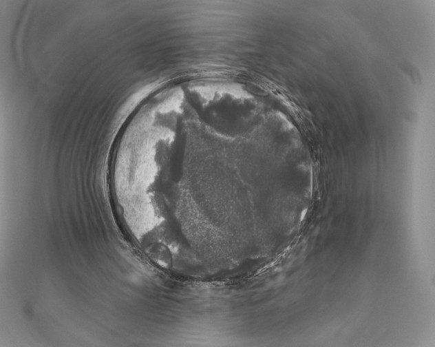 X0000111000147200907171820