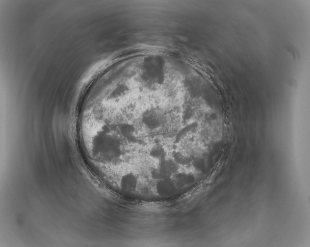 X0000111000149200907171820