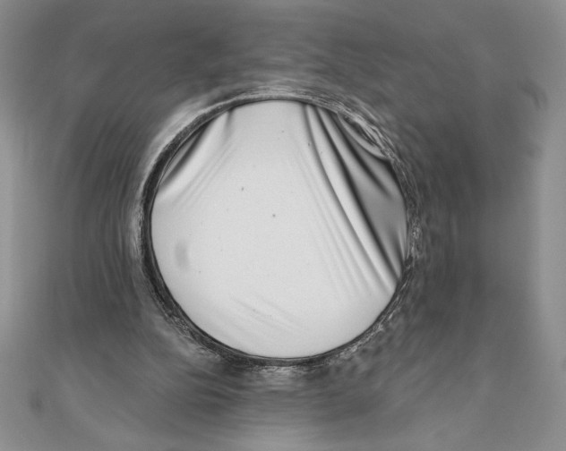 X0000111000152200907171820