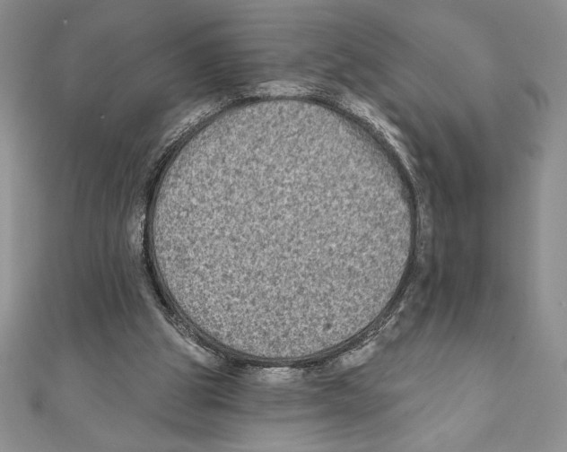 X0000111000153200907171821