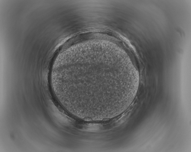 X0000111000154200907171821