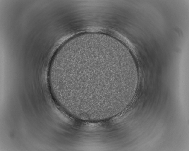 X0000111000155200907171821