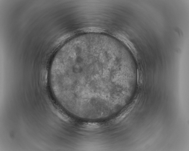 X0000111000157200907171821