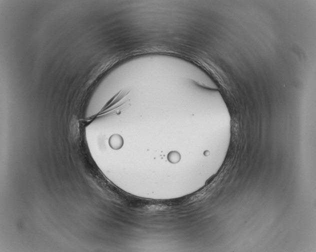 X0000111000158200907171821