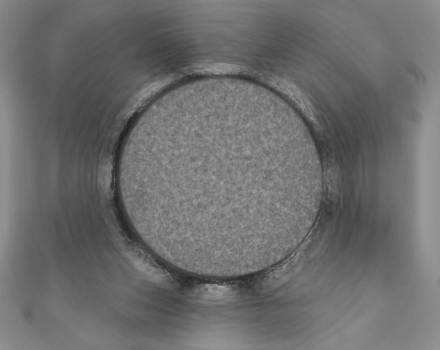 X0000111000159200907171821