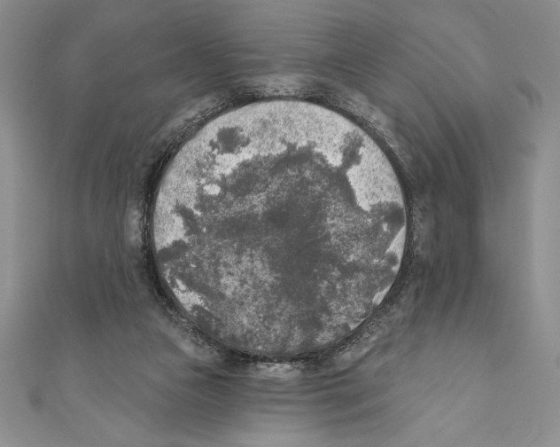 X0000111000161200907171821