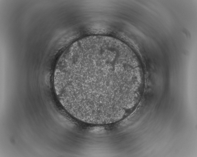 X0000111000162200907171821