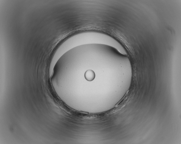 X0000111000164200907171821