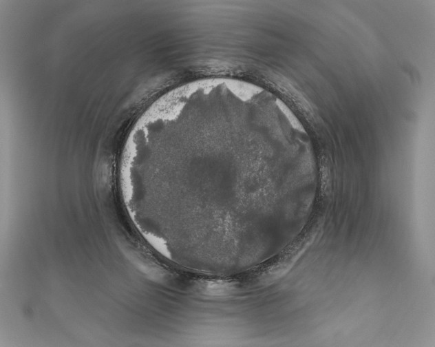 X0000111000165200907171821