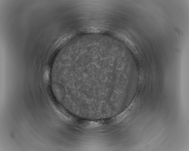 X0000111000166200907171821