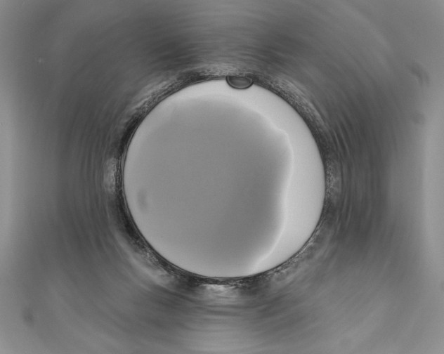 X0000111000167200907171821