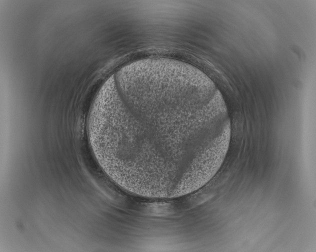 X0000111000168200907171821