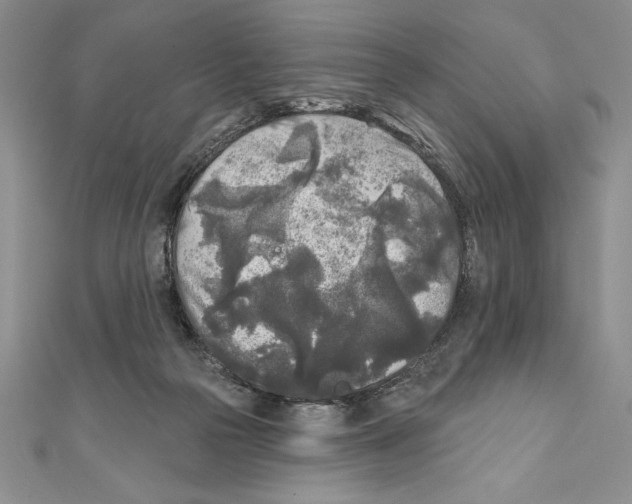 X0000111000169200907171821