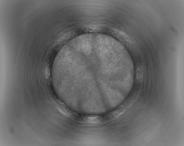 X0000111000173200907171821