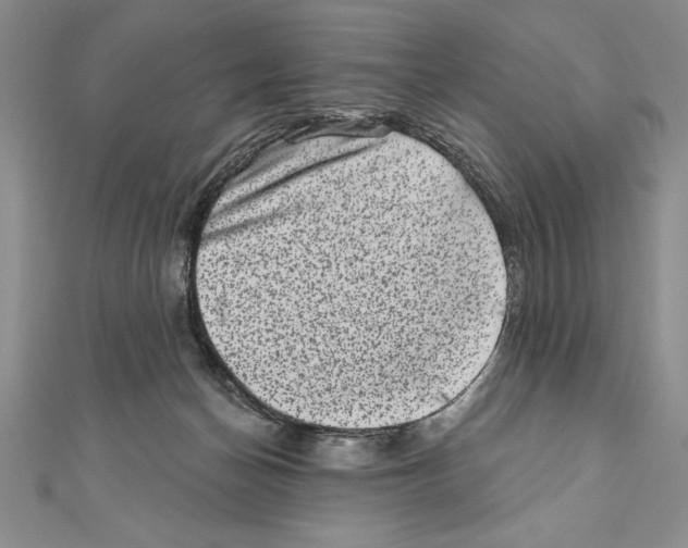 X0000111000174200907171821