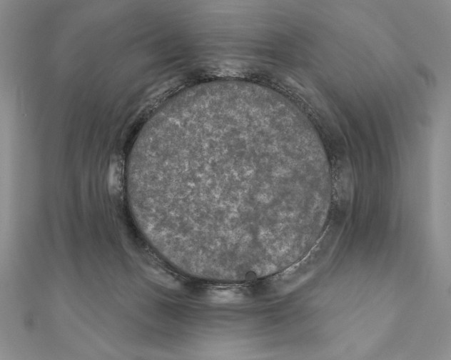 X0000111000175200907171821