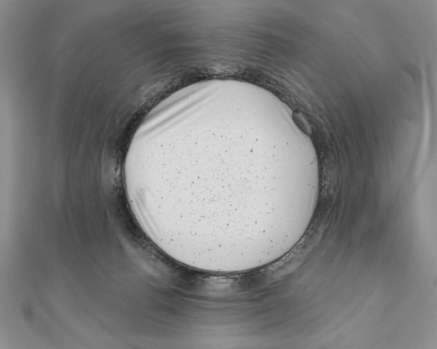 X0000111000176200907171821