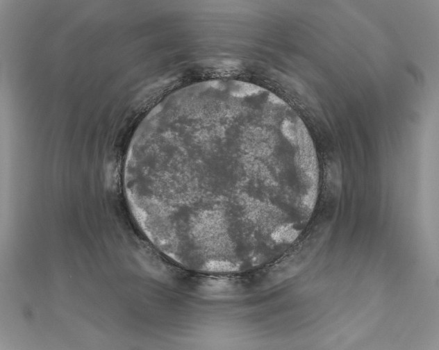 X0000111000177200907171821