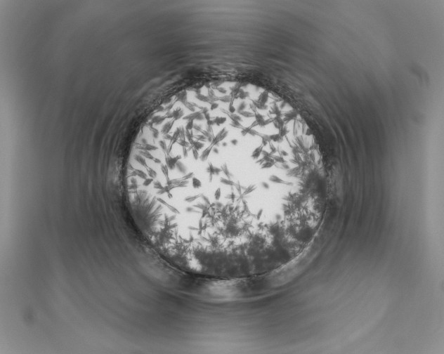 X0000111000178200907171821