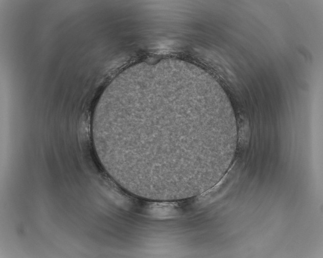 X0000111000179200907171821