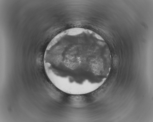 X0000111000181200907171821