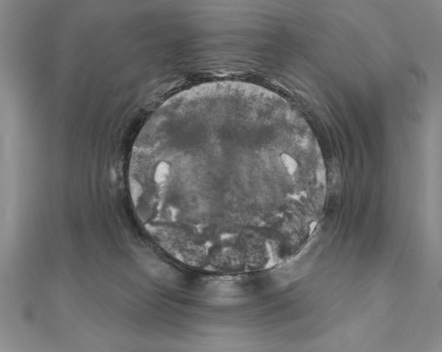 X0000111000182200907171821