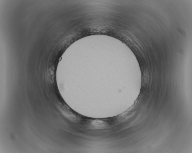 X0000111000183200907171821