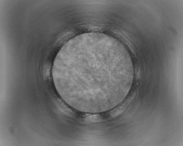 X0000111000185200907171821