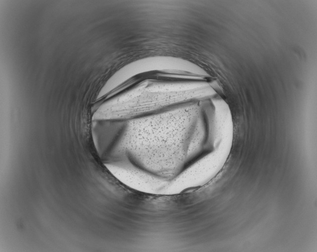 X0000111000186200907171821