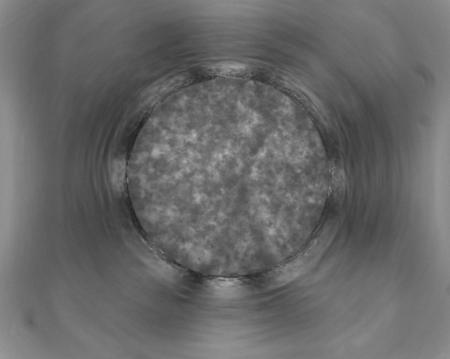 X0000111000189200907171821