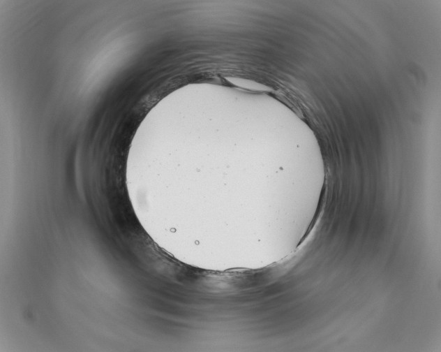 X0000111000190200907171821